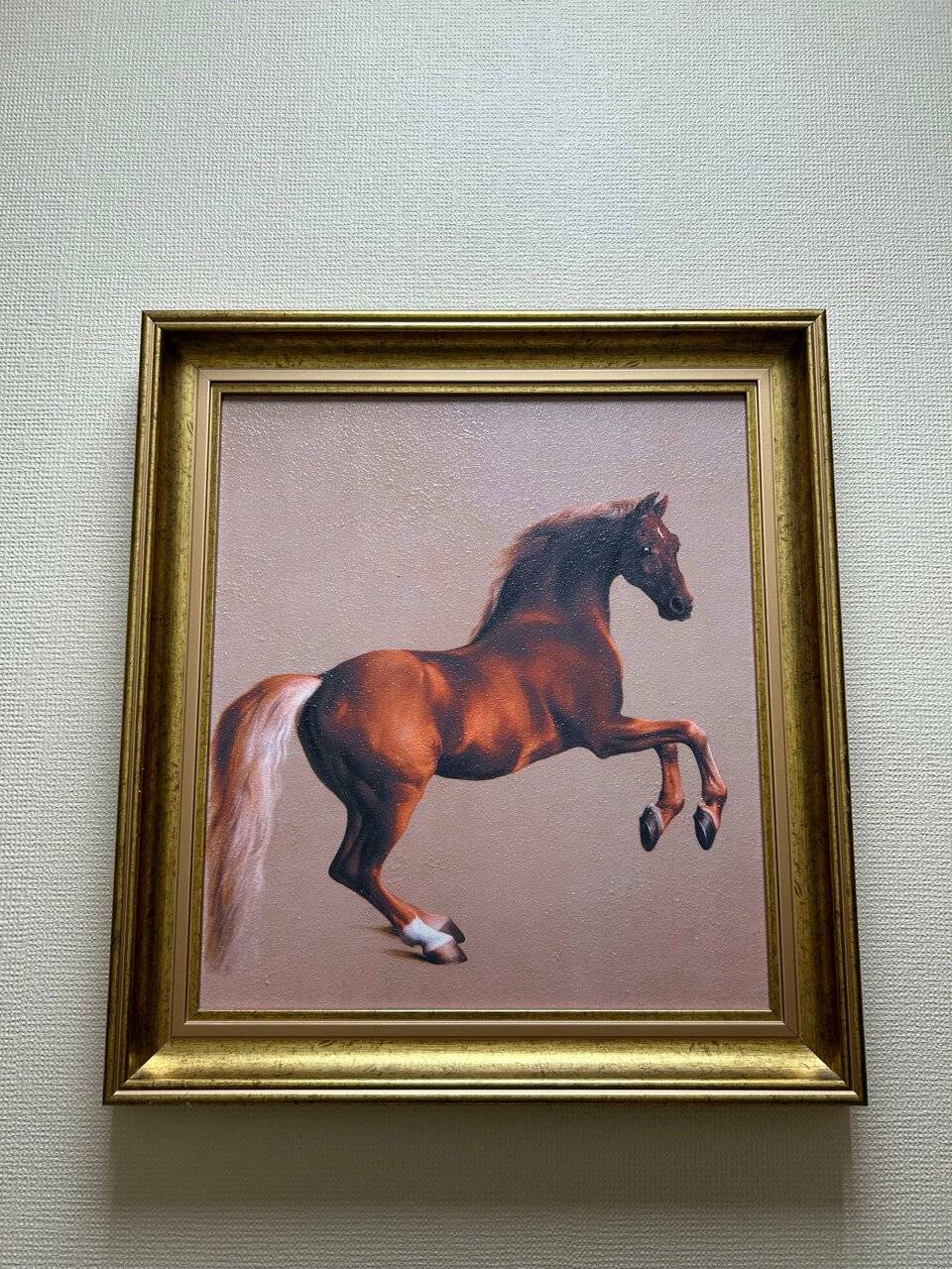 Фото Хостела Невский Калининград 51