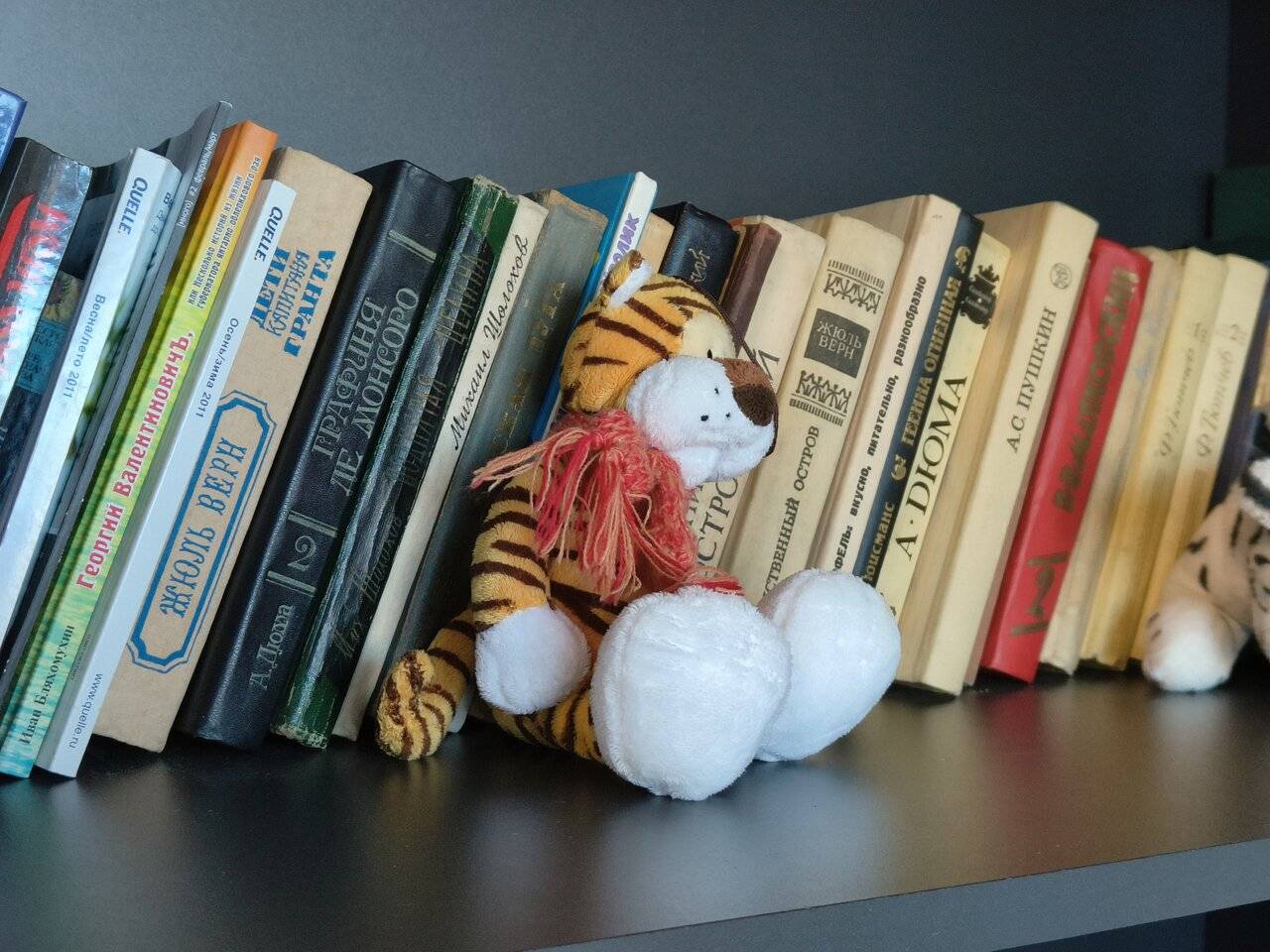 Фото Хостела Невский Калининград 6